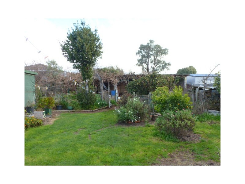 8 Hedley Street, Scottsdale TAS 7260