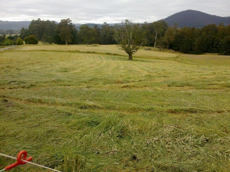 111 Snake Track, Legerwood TAS 7263