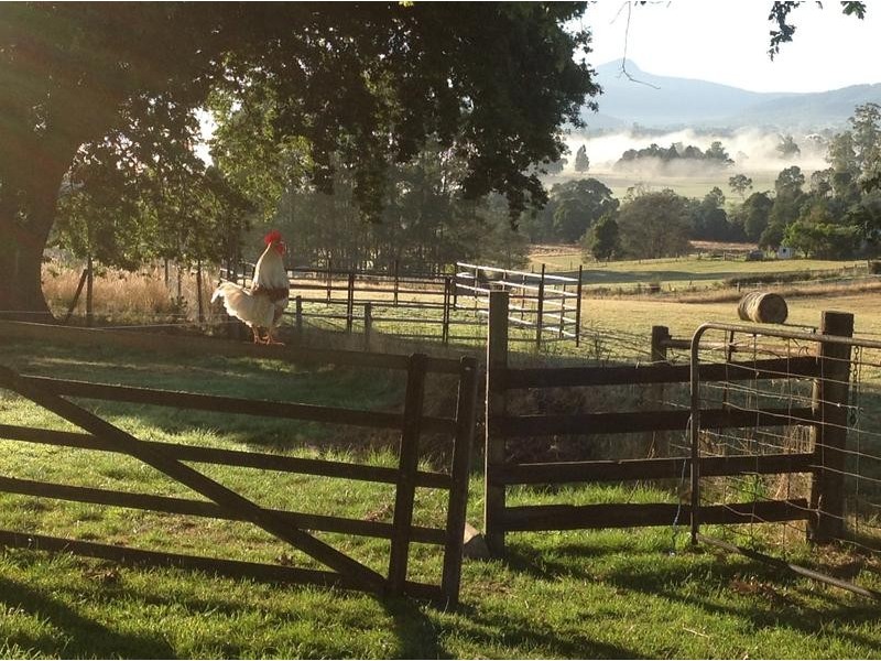 111 Snake Track, Legerwood TAS 7263