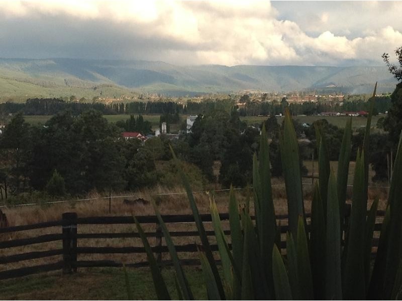 111 Snake Track, Legerwood TAS 7263