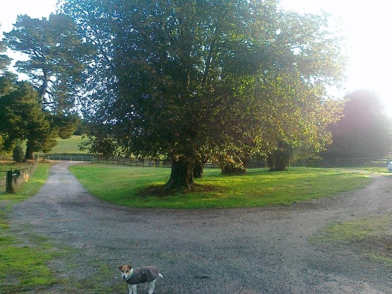 111 Snake Track, Legerwood TAS 7263