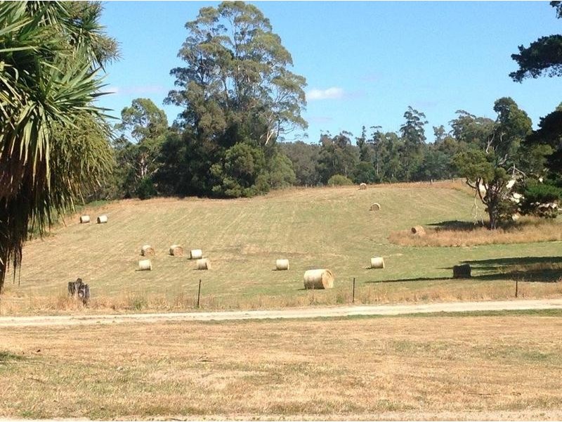 111 Snake Track, Legerwood TAS 7263