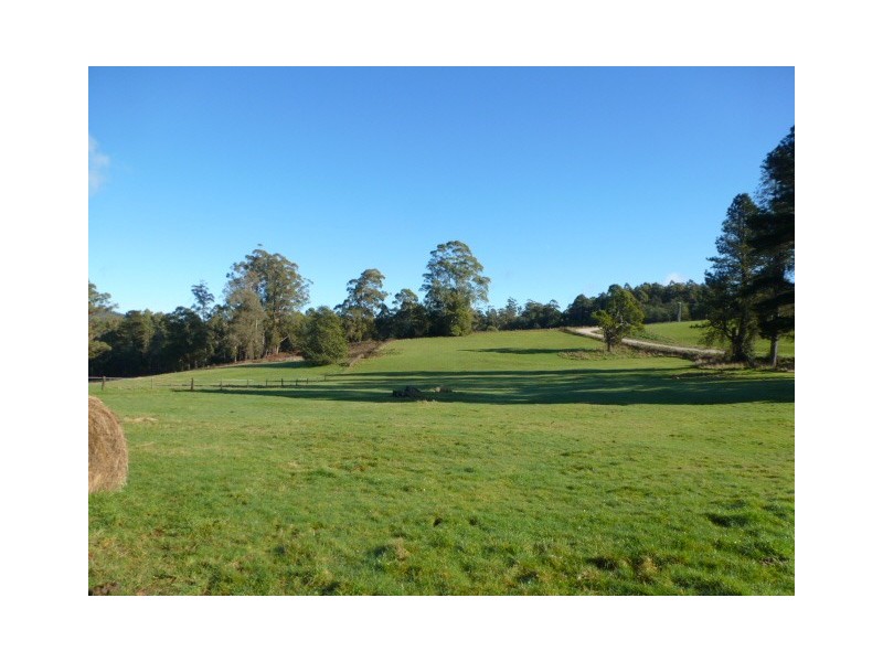 111 Snake Track, Legerwood TAS 7263