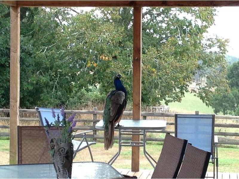 111 Snake Track, Legerwood TAS 7263