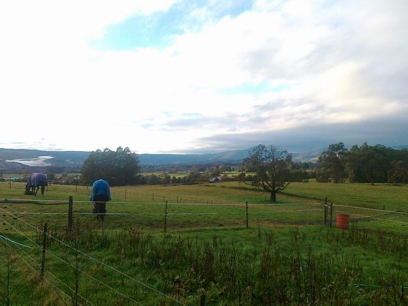 111 Snake Track, Legerwood TAS 7263