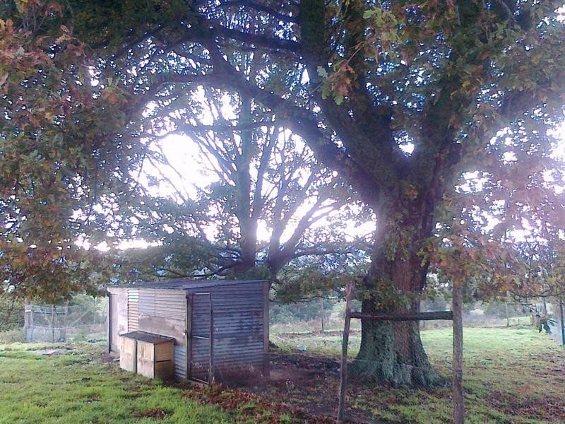 111 Snake Track, Legerwood TAS 7263