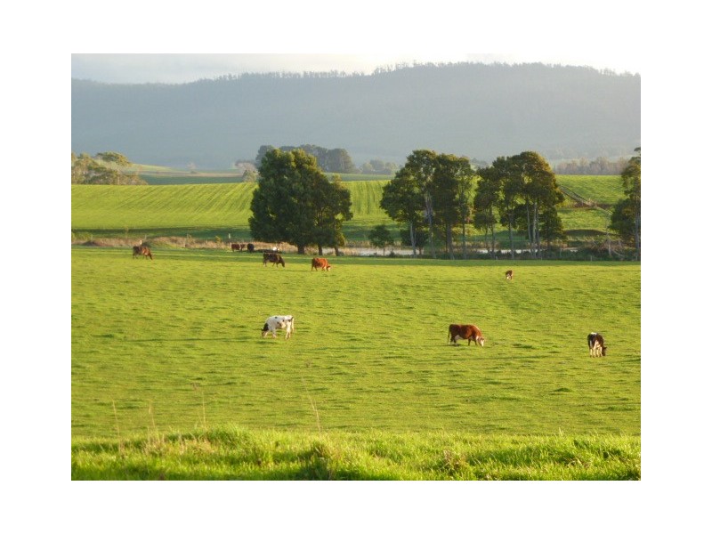 105 West Minstone Road, Scottsdale TAS 7260