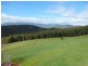 517 Sledge Track, Scottsdale TAS 7260
