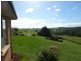 517 Sledge Track, Scottsdale TAS 7260