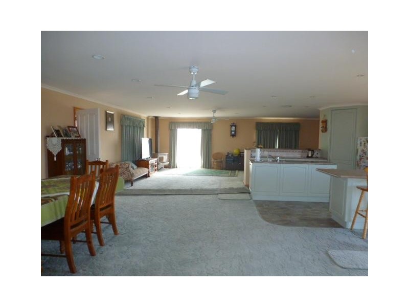 517 Sledge Track, Scottsdale TAS 7260
