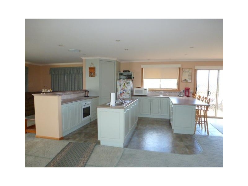 517 Sledge Track, Scottsdale TAS 7260