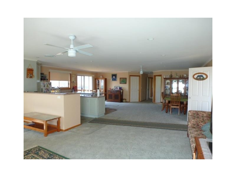 517 Sledge Track, Scottsdale TAS 7260