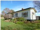 17 Fry Street, Ringarooma TAS 7263