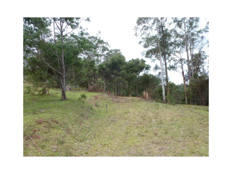 10 Burns Road, Wyena, Scottsdale TAS 7260