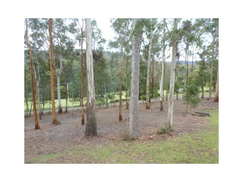 10 Burns Road, Wyena, Scottsdale TAS 7260