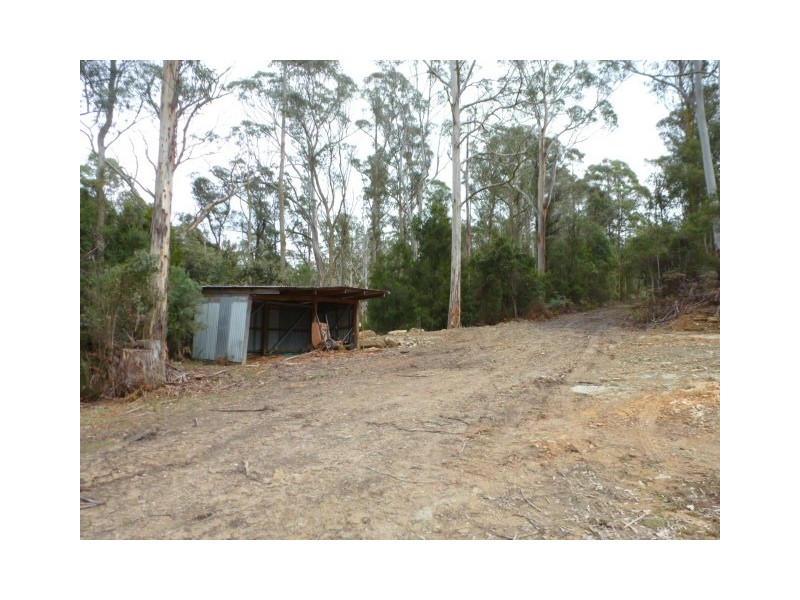 10 Burns Road, Wyena, Scottsdale TAS 7260