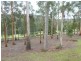 10 Burns Road, Wyena, Lilydale TAS 7268