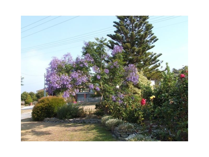 32 Main Street, Bridport TAS 7262