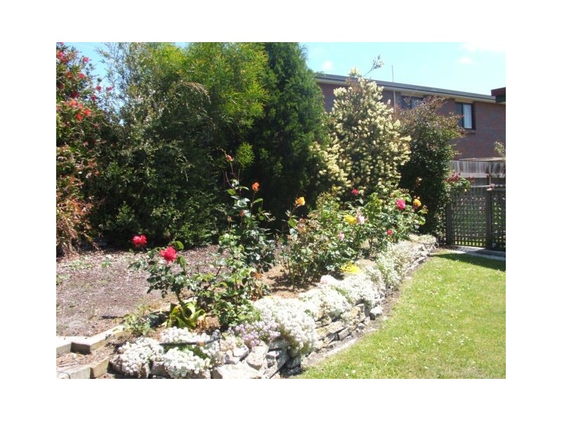 32 Main Street, Bridport TAS 7262