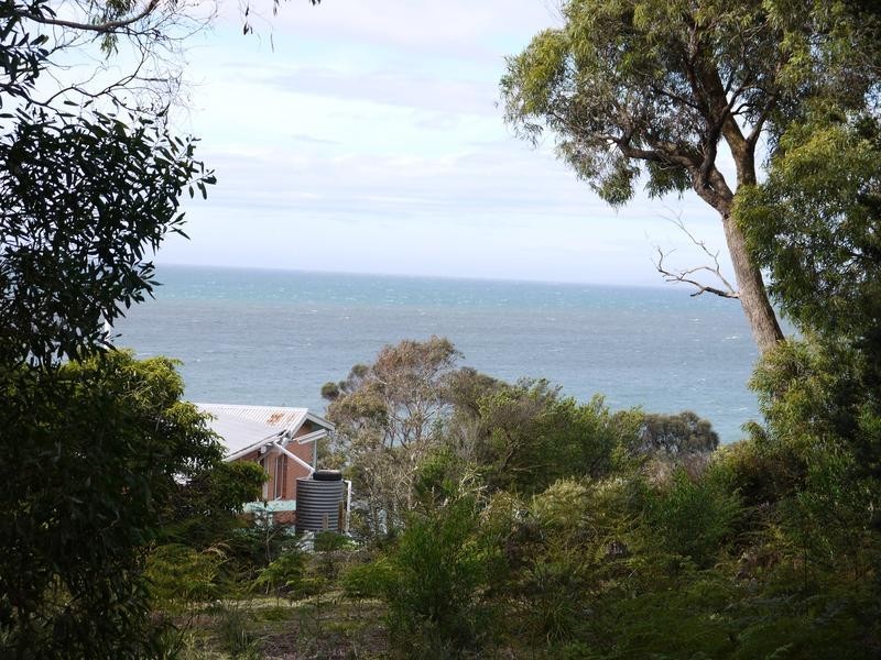 150A Westwood Street, Bridport TAS 7262