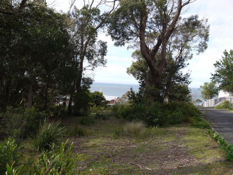 150A Westwood Street, Bridport TAS 7262