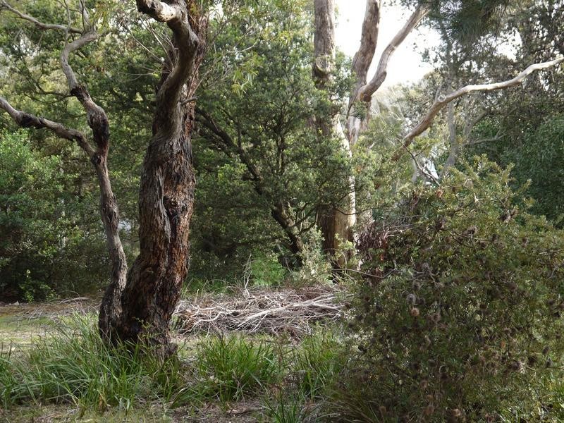 150A Westwood Street, Bridport TAS 7262