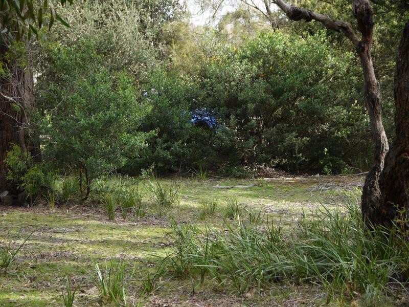 150A Westwood Street, Bridport TAS 7262