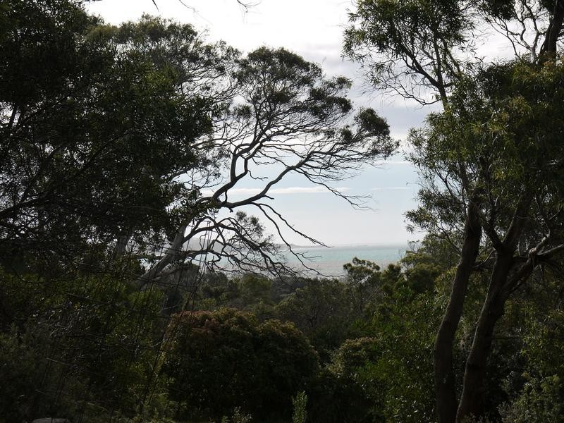 150A Westwood Street, Bridport TAS 7262