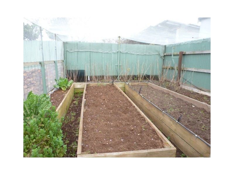 25 Arthur Street, Scottsdale TAS 7260