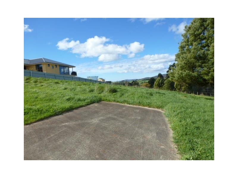 31 Hedley Street, Scottsdale TAS 7260