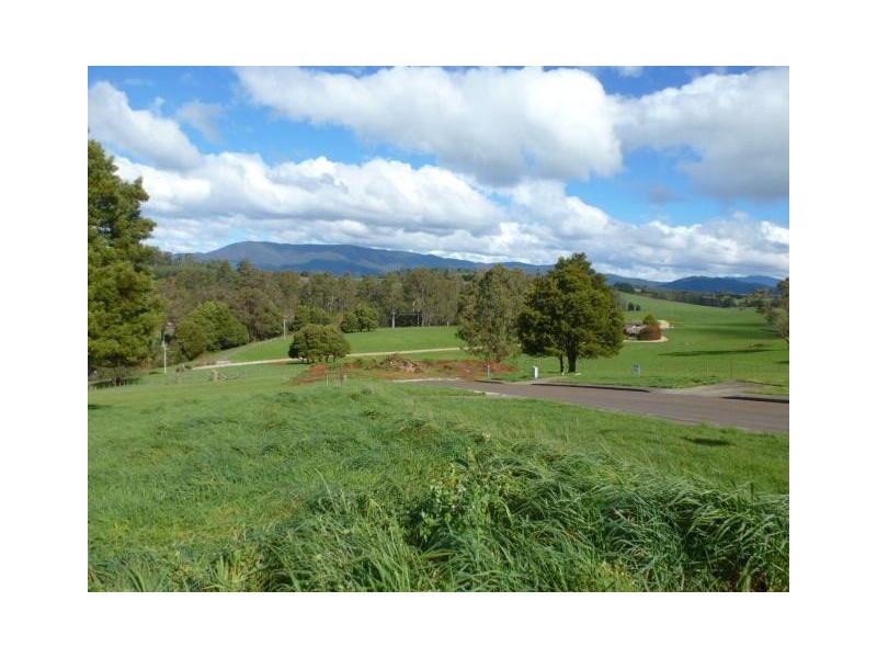 31 Hedley Street, Scottsdale TAS 7260