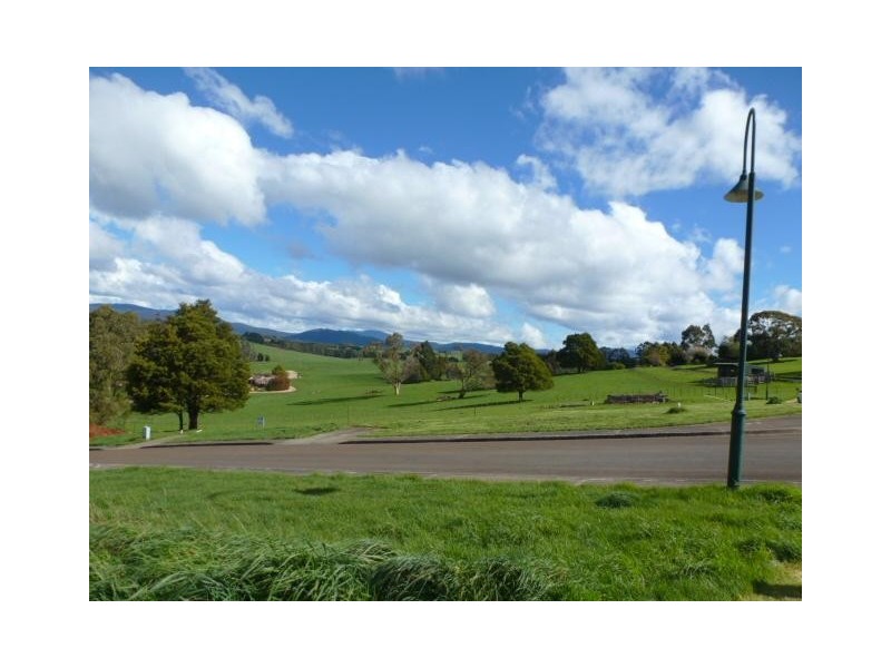 31 Hedley Street, Scottsdale TAS 7260