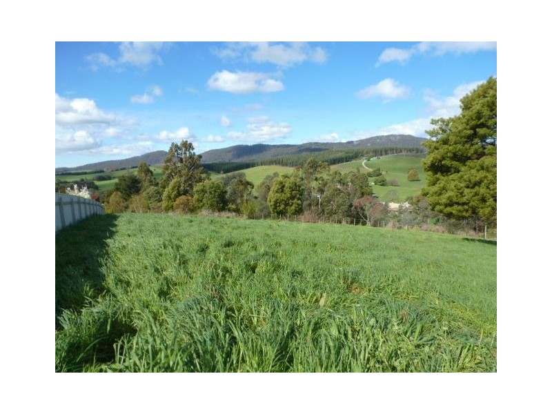 31 Hedley Street, Scottsdale TAS 7260