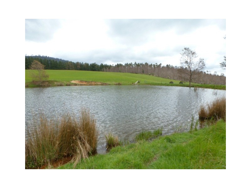 762 Sledge Track, Springfield, Scottsdale TAS 7260