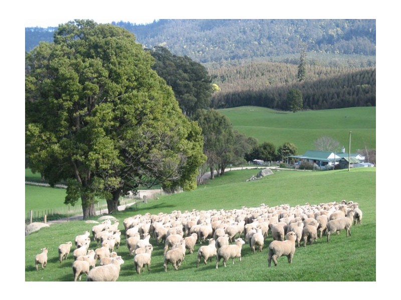 762 Sledge Track, Springfield, Scottsdale TAS 7260