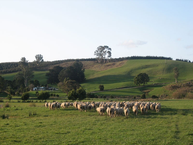 762 Sledge Track, Springfield, Scottsdale TAS 7260