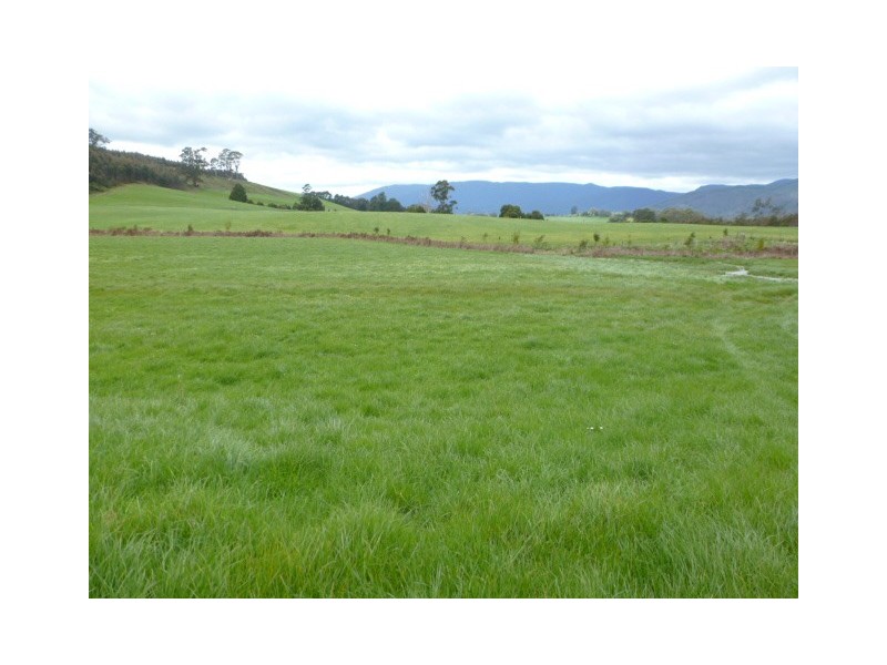 762 Sledge Track, Springfield, Scottsdale TAS 7260