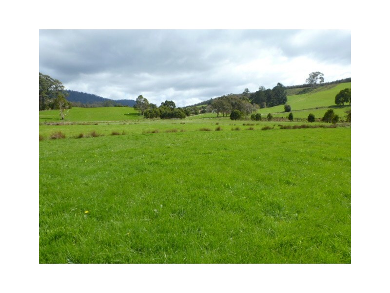 **Sledge Track, Springfield, Scottsdale TAS 7260