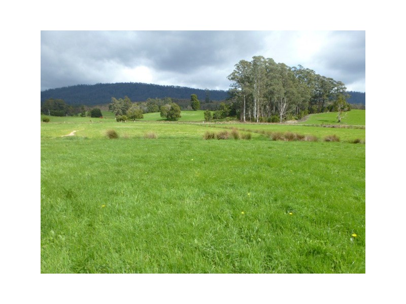 **Sledge Track, Springfield, Scottsdale TAS 7260