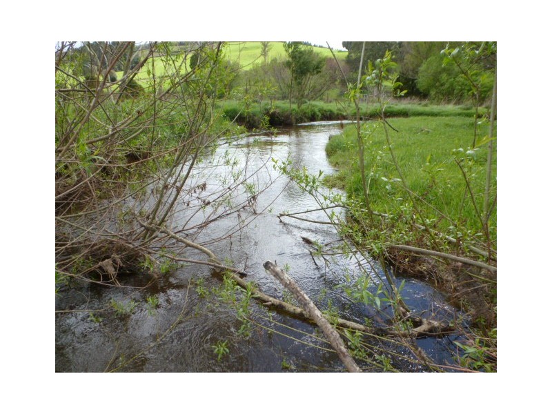 **Sledge Track, Springfield, Scottsdale TAS 7260