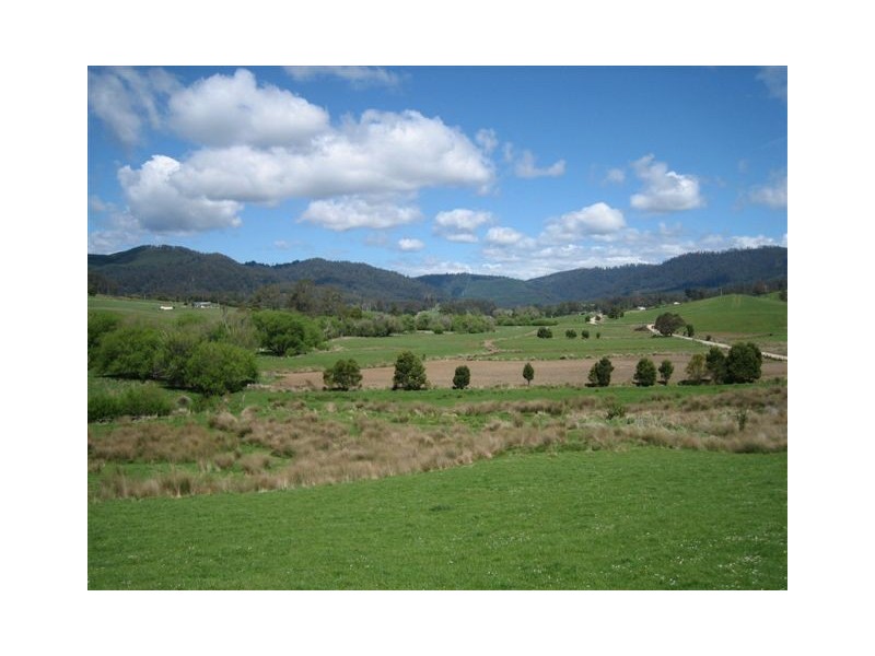 **Sledge Track, Springfield, Scottsdale TAS 7260