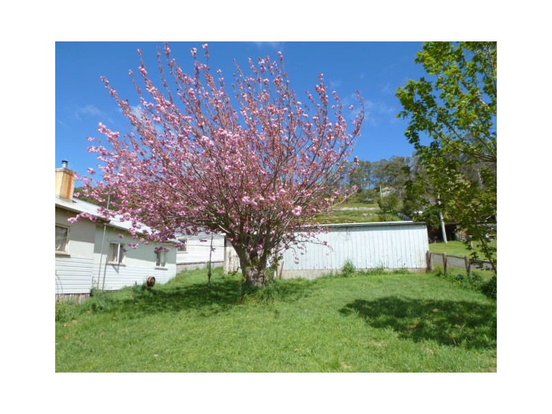 26 Main Street, Derby TAS 7264