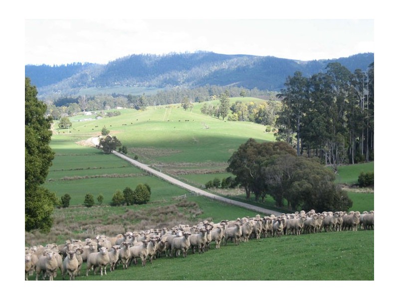 762 Sledge Track, Springfield, Scottsdale TAS 7260