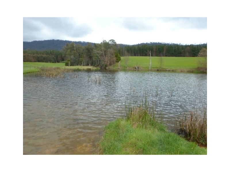 762 Sledge Track, Springfield, Scottsdale TAS 7260