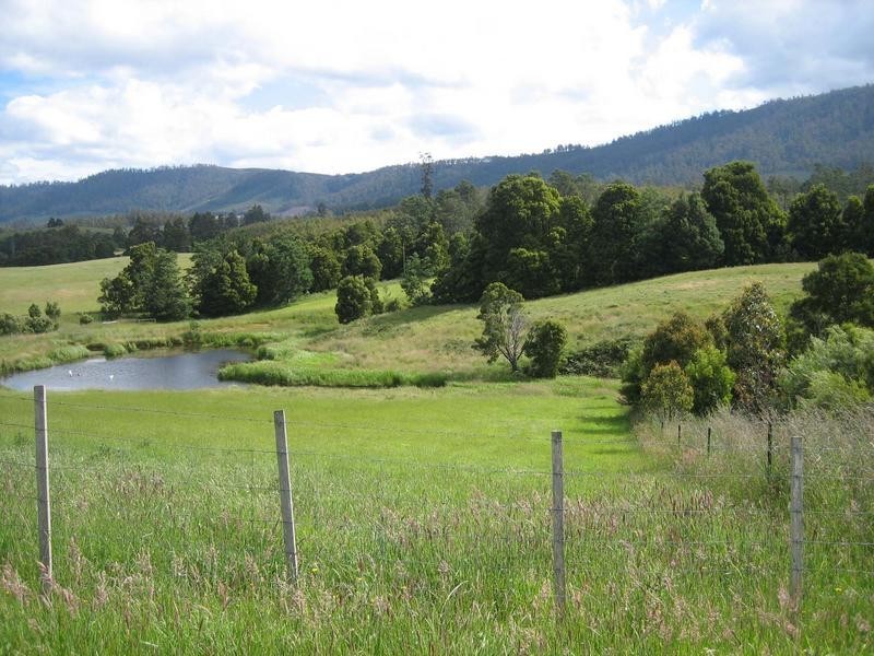 762 Sledge Track, Springfield, Scottsdale TAS 7260