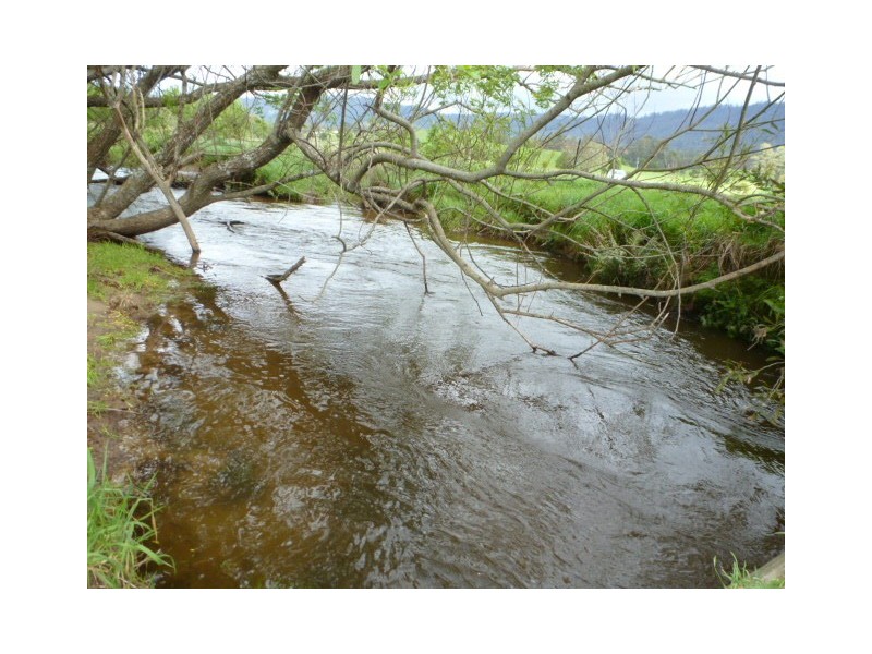 * Sledge Track, Springfield, Scottsdale TAS 7260