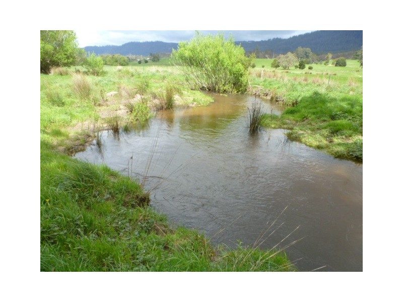 * Sledge Track, Springfield, Scottsdale TAS 7260