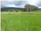 * Sledge Track, Springfield, Scottsdale TAS 7260