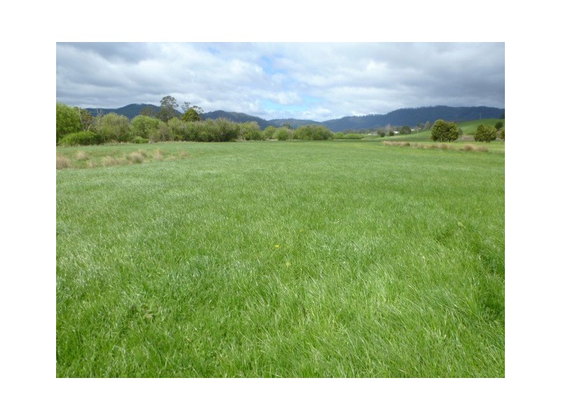 * Sledge Track, Springfield, Scottsdale TAS 7260