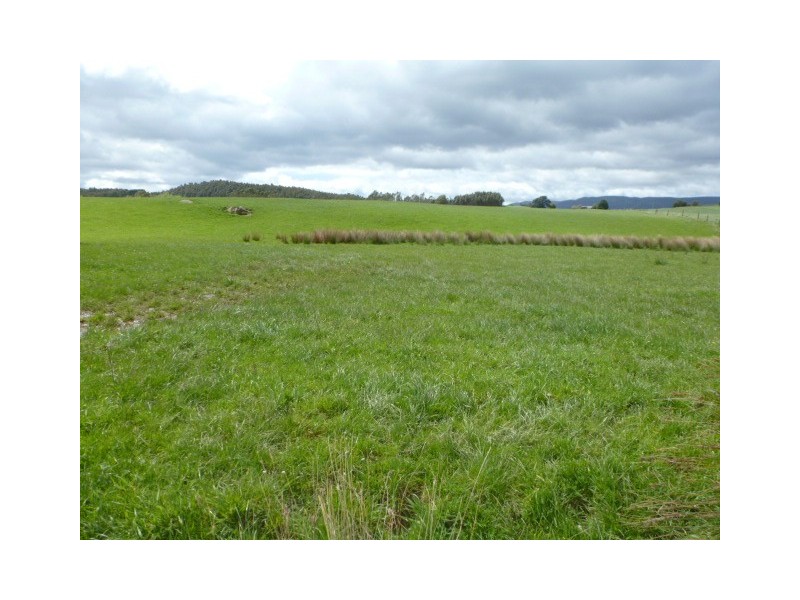 * Sledge Track, Springfield, Scottsdale TAS 7260
